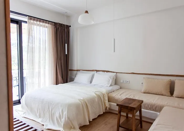 Alex & Sofi 公寓 希马拉